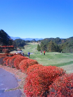 201110270954000.jpg